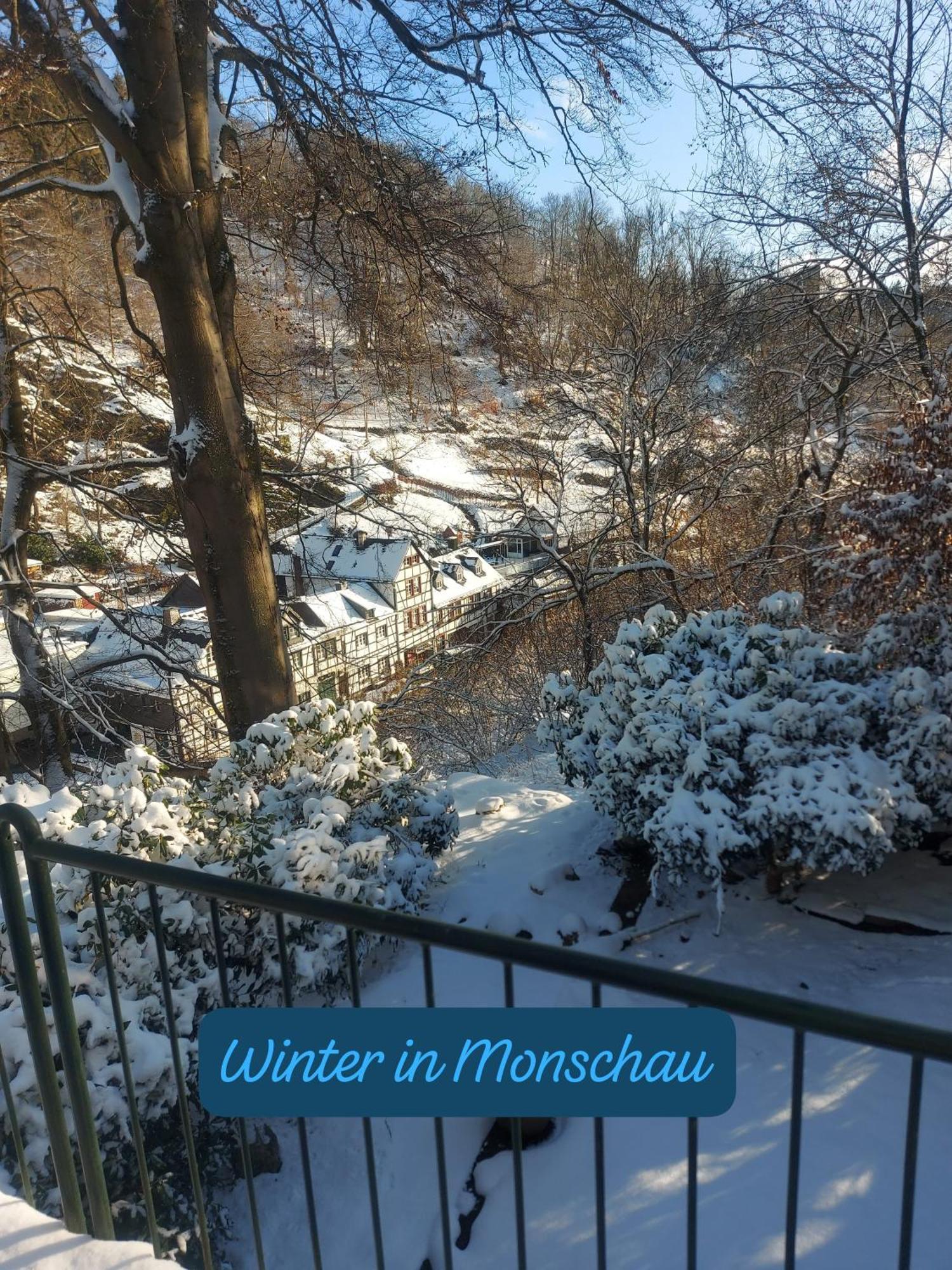 Apartment Haus Ilse Monschau